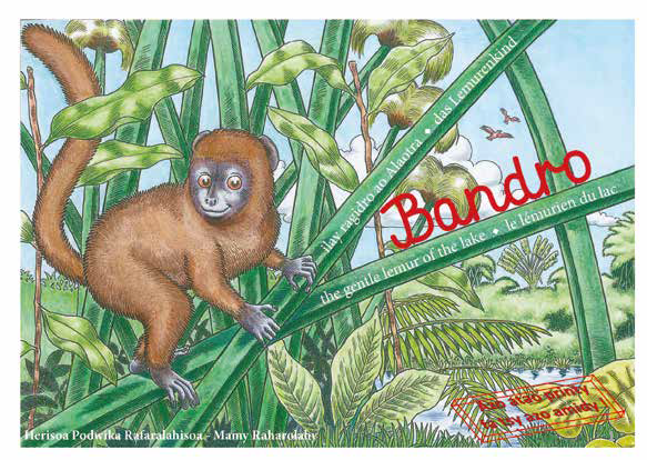 Bandro, ilay ragidro ao Alaotra
